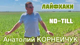 Лайфхаки  No-till Анатолия Корнейчука