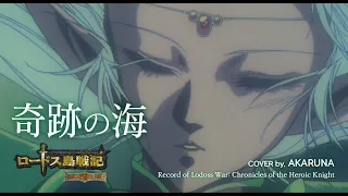 奇跡の海 - Record of Lodoss War OP cover by. AKARUNA(아카루나)