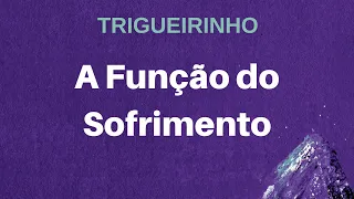 Trigueirinho | A Função do Sofrimento