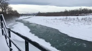 Semi-Frozen Bow-lake/Canada Winter 2022 🇨🇦