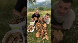 Went for mushrooms with the best man