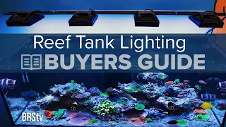 Get Lighting Right the First Time. Reef Tank & Saltwater Aquarium Illumination | BRStv Buying Guide