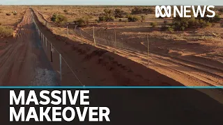 World's longest fence protecting Australia's sheep from dingoes gets a makeover | ABC News