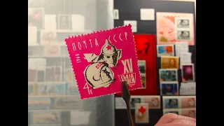 Почтовые марки России и СССР - часть 4 - Победитель розыгрыша -  Stamps collection Russia and USSR