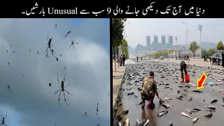 9 Most Unusual Rains Ever Recorded Urdu | دنیا میں ہونے والی انوکھی بارشیں | Haider Tv