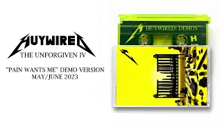 Metallica: The Unforgiven IV (''Pain Wants Me'' Demo Version)