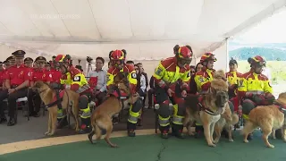 Se jubilan caninos policías del cuerpo de bomberos de Quito