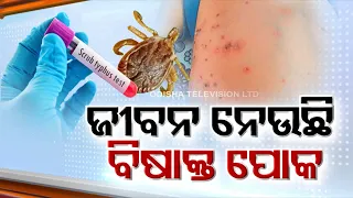 Panic increases over outrage of Scrub Typhus disease in Odisha's Bargarh