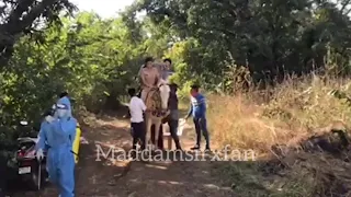 Gulki Joshi and Rahil Azam riding a horse BTS || Maddam Sir