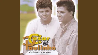 A volta do boiadeiro