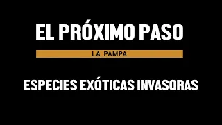 El Próximo Paso - Especies Exóticas Invasoras