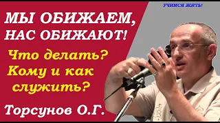 Мы обижаем, нас обижают. Что делать. Учимся жить. Торсунов О.Г.