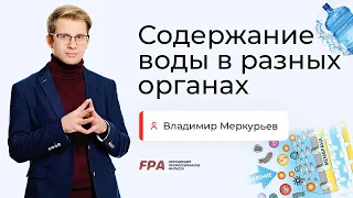 Содержание воды в разных органах | Владимир Меркурьев (FPA)