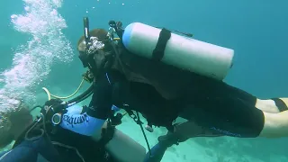 Scuba Diving in Aruba - 2022. Beautiful Reefs.