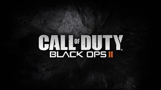 Call of Duty: Black Ops 2 || 9600 GT 512MB || Pentium E2180 @2.66Ghz