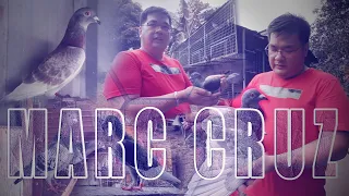 SECRETS OF MARC CRUZ IN PIGEON RACING PART 1