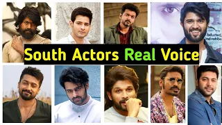 South Actors Real Voice @Yash @Mahesh babu @Vijay thalapathy @Prabhas @Allu Arjun @Dhanush