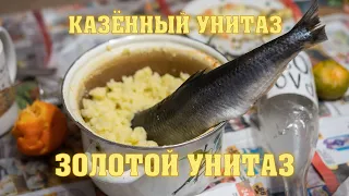 Казённый Унитаз - Золотой унитаз (official music video)