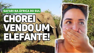 Vlog - Safari INCRÍVEL na África do Sul | Como foi o SAFARI em Pilanesberg