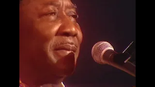 Muddy Waters Live Dortmund Jazz Festival 1976