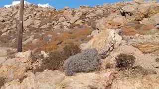 Super Paradise Beach in Mykonos.