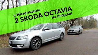 Бюджетна і заряджена OCTAVIA з Німеччини в Україні [ПРОДАНО]