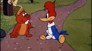 115 Дятел Вуди / Woody Woodpecker — Home Sweet Homewrecker