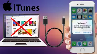 Что делать если iTunes не видит iPhone