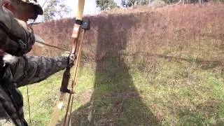 Bow hunting foxes with a Ragim recurve bow