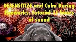 Desensitize Your Dog To Fireworks Sounds.  10 Hours with Instructions