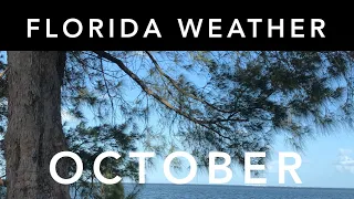 Florida Weather: October