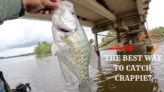 How To Catch Crappie | An Easy Crappie Fishing Technique #fishing  #fishingvideo