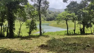 The Gudlu Resort Lake Views | Chikmagalur