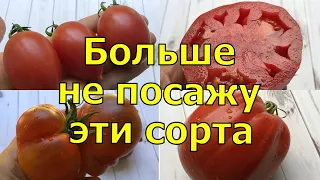 НИКОГДА БОЛЬШЕ НЕ ПОСАЖУ ЭТИ ТОМАТЫ, РАЗОЧАРОВАЛИ...