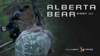 Southern Vanes: Season 3 | Alberta Bear Part 3