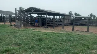 FAZENDA MUITO BARATA, NA BEIRA DO ASFALTO,REGIÃO DO BICO DO PAPAGAIO,TO