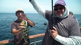 Yellowtail & Calico Bass Fishing at Catalina Is. Aboard the Gail Force