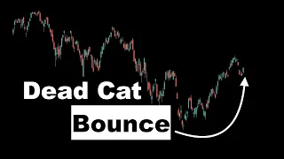 Stock Market Dead Cat Bounce (SPY Analysis in 2 mins