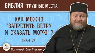 Как можно "запретить ветру и сказать морю" ? (Мк. 4:39) Протоиерей Олег Стеняев