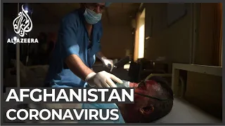 Afghanistan: Fears people with coronavirus will enter via Iran