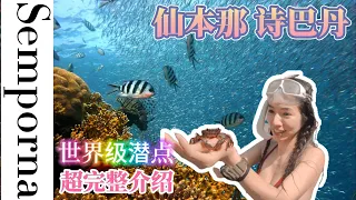 馬來西亞 仙本那 自由行攻略 | 詩巴丹自由潛水 | 西巴丹Sipadan diving | Semporna