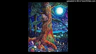 Spiritual Tony - LSD (528Hz)