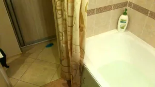 Кошка прыгает в ванну за игрушкой