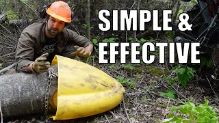 Using a Skid Cone to Move Logs for a Cabin