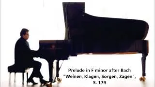 Volodos plays Bach-Liszt "Weinen, Klagen, Sorgen, Zagen"