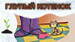 🐈Сказка О ГЛУПОМ КОТЕНКЕ - ИНТЕРЕСНЫЕ христианские рассказы - ГОРЧИЧНЫЕ РАССКАЗЫ🌱