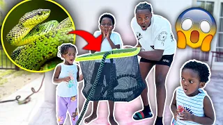 We Found A SNAKE In Our Backyard | Beam Squad