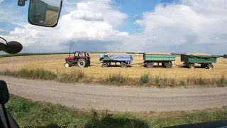 ŻNIWA 2021 Zatrzaśnięta kabina a kombajn zapalony! Polski Road Train!