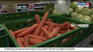 В Чувашии цены кусаются: морковь самая дорогая в Приволжье