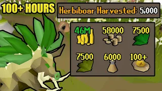 100 hours of Herbiboar | Every Drop: No Banking (#15) [OSRS]